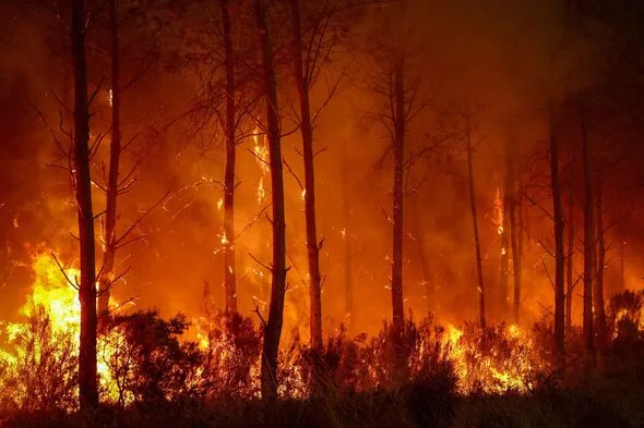フランス山火事、ボルドー目前まで迫る…消火のカギ握る「この数時間」