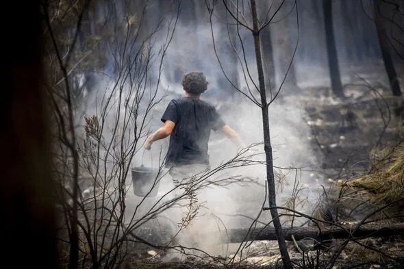 フランス山火事、ボルドー目前まで迫る…消火のカギ握る「この数時間」