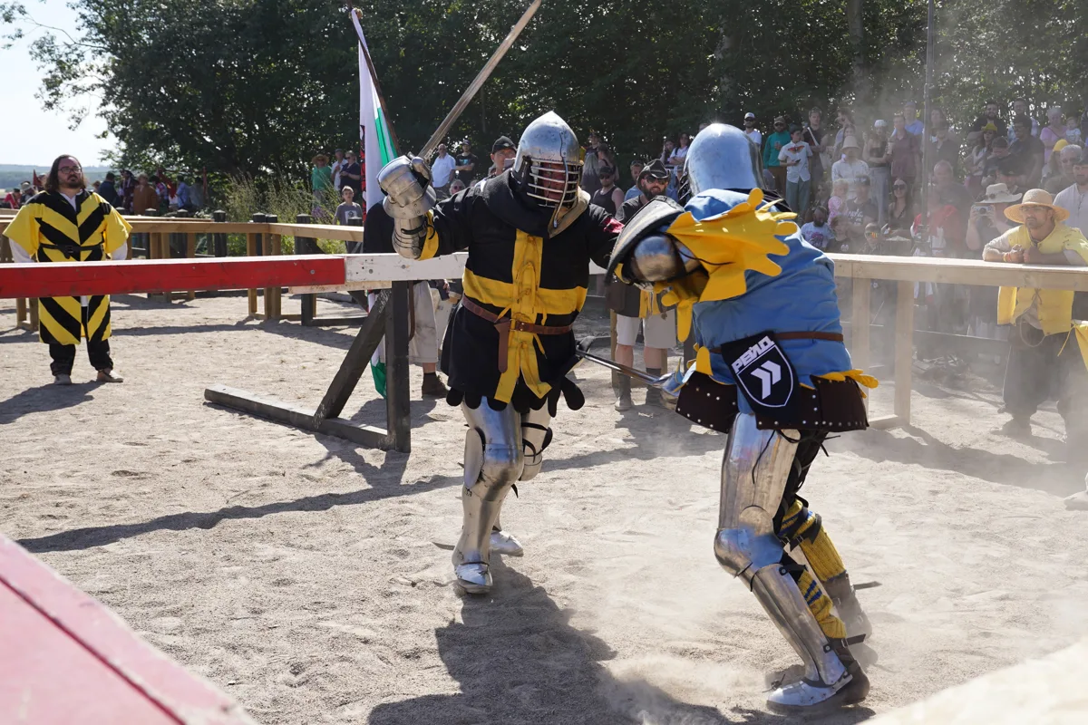 本気の剣と斧がぶつかり合う！中世甲冑格闘技世界選手権、600人が鎧で殴り合い
