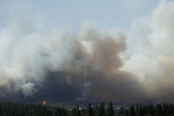ワシントン州で非常事態宣言、12の山火事で6万人停電